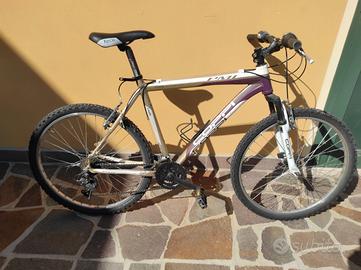 bicicletta ben tenuta 
