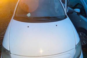 Citroen C3 benzina GPL 2009