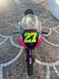 PRE MOTO 3
