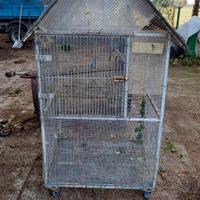  3 Voliere vecchie una da pulire e una da sis