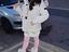 Immagine 1