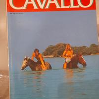 rivista Cavallo magazine n22 agosto 1988
