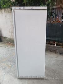 1 FRIGORIFERO 
PROFESSIONALI 600 LIT