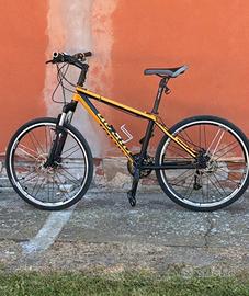 Bicicletta mountain