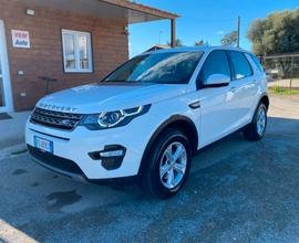 LAND ROVER Discovery Sport 2.0 TD4 Luxury GARANTIT