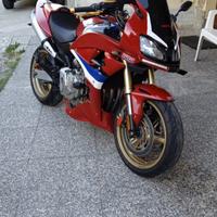 Honda Hornet