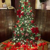 Albero di Natale