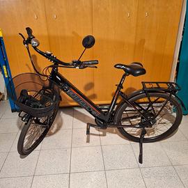 Bicicletta elettrica