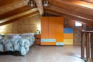 Casa semi indipendente immersa tra gli ulivi