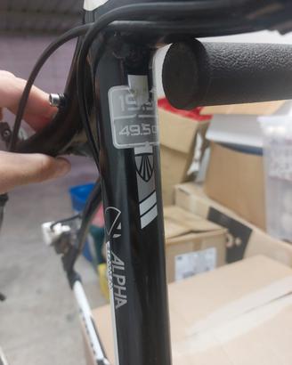 trek front