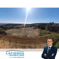 Terreni agricoli e pascolo