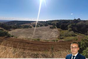 Terreni agricoli e pascolo