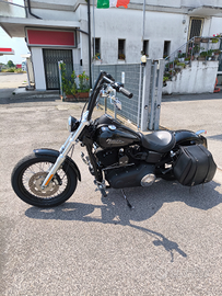 Dyna street bob