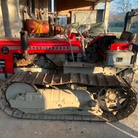 Trattore agricolo massey ferguson c 164 con arcone