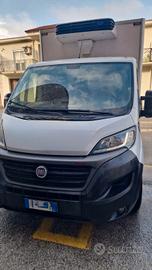 Furgone ducato  cassonato 