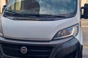 Furgone ducato  cassonato 
