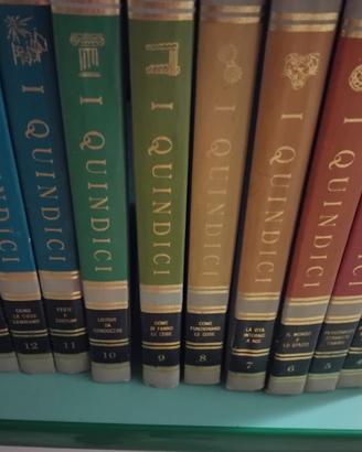 Enciclopedia quindici