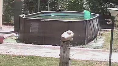 piscina ovale 