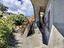 Immagine 14