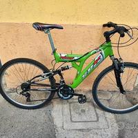 Bicicletta MTB Phoenix