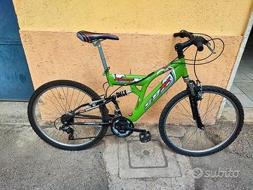 Bicicletta MTB Phoenix