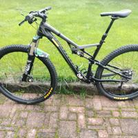 MTB specialized bi ammortizzata in carbonio 