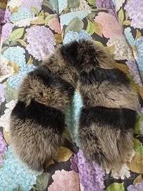 Collo bicolore volpe