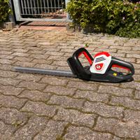 Tagliasiepi elettrico Sterwins