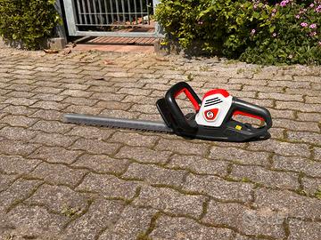 Tagliasiepi elettrico Sterwins