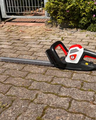 Tagliasiepi elettrico Sterwins
