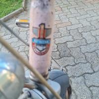 bicicletta Bottecchia