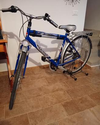 Bicicletta Ocean