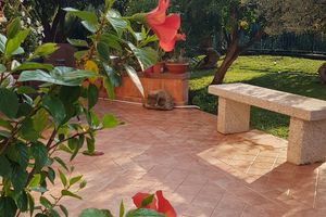 Grazioso bilocale San Teodoro