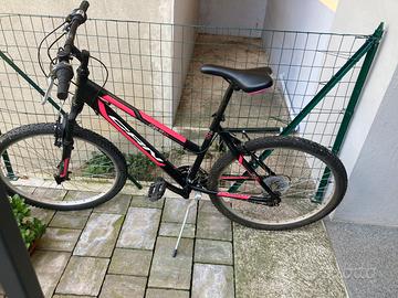 Mountain bike carnielli crn