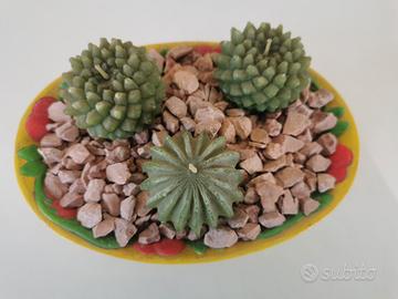 candele cactus in vaso di terracotta dipinto a man