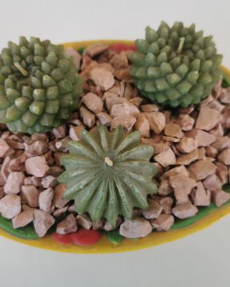 candele cactus in vaso di terracotta dipinto a man