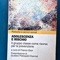 Franco Giori, Adolescenti e rischio