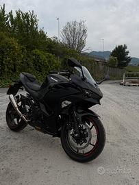 Ninja 500 2026