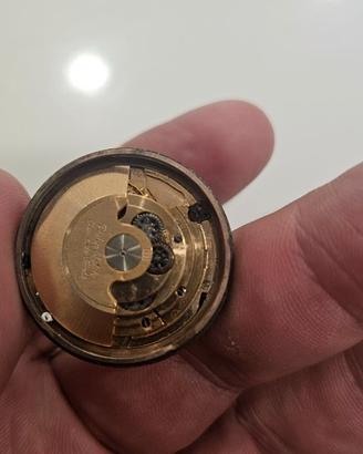 PHILIP WATCH MOVIMENTO AUTOMATICO
