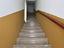 Immagine 8