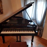 Pianoforte a mezza coda Tamaka