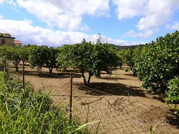 Rif.RI510| terreno agricolo sant'ilario dello ion
