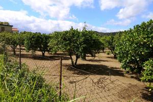 Rif.RI510| terreno agricolo sant'ilario dello ion