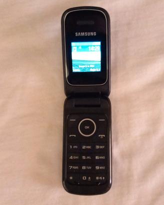 Samsung GT-E1190