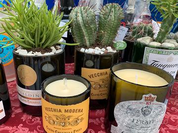 Piantine in vasetti di bottiglie