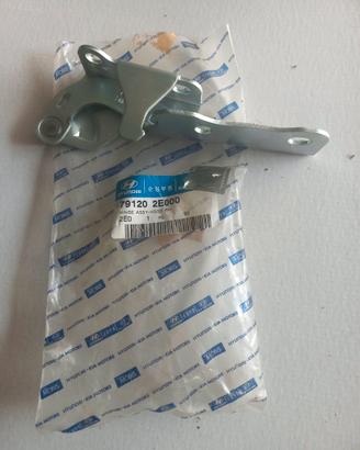 Cerniera cofano Hyundai 791202E000