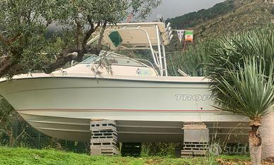 Bayliner Trophy Gasolio