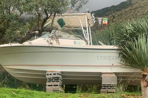 Bayliner Trophy Gasolio