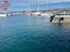 Immagine 14