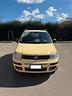 fiat-panda-1-2-metano-neopatentati-